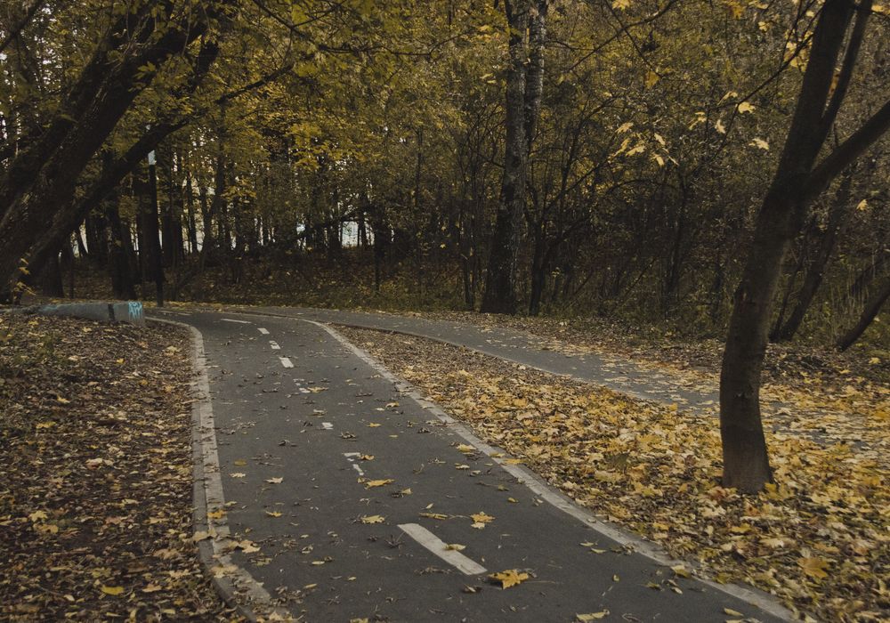 Sentiers et pistes