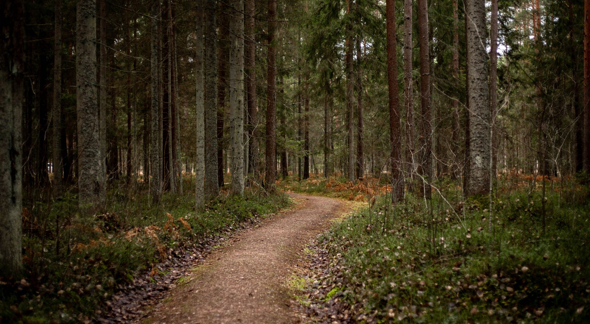 Piste cyclable de la Rivière-Nord